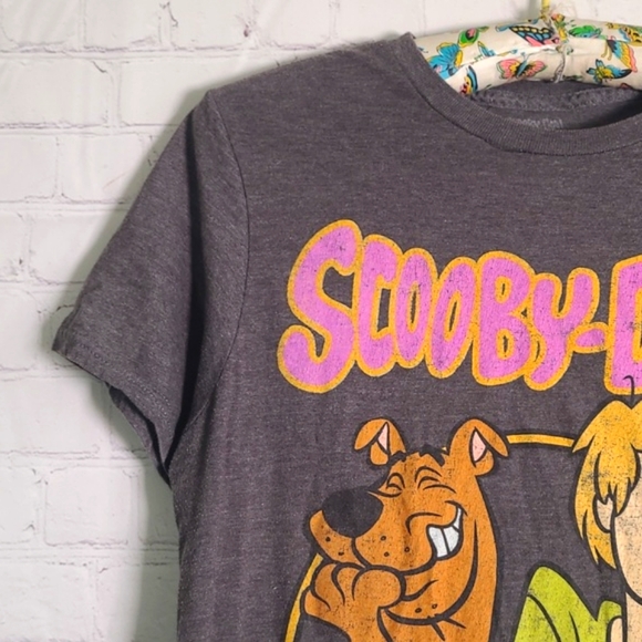 Scooby-Doo Shaggy Hanna-Barbera Graphix Print Classic Cartoon Gray Tee Tshirt M - Picture 9 of 15